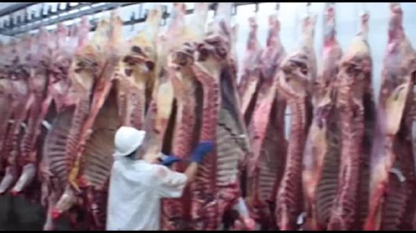 山东传诺肉制品有限公司(图1)